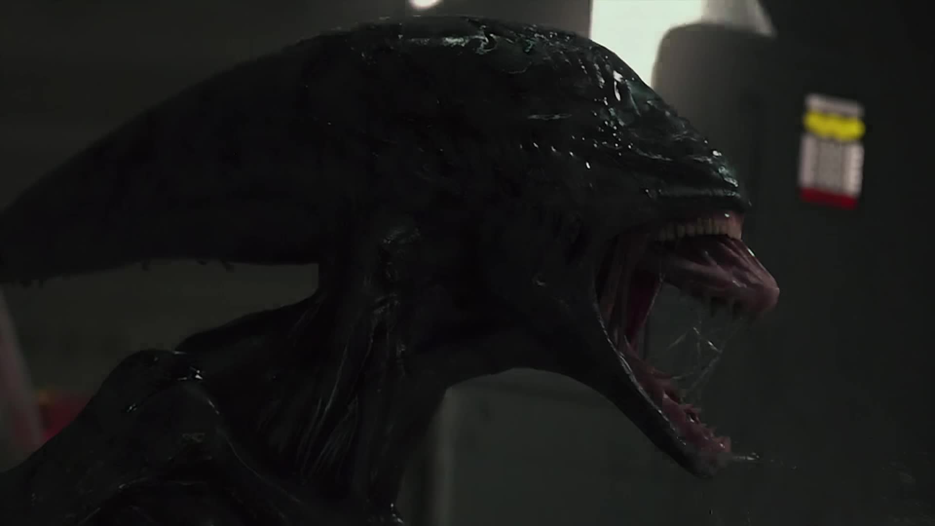 Thumbnail image for Creature Features