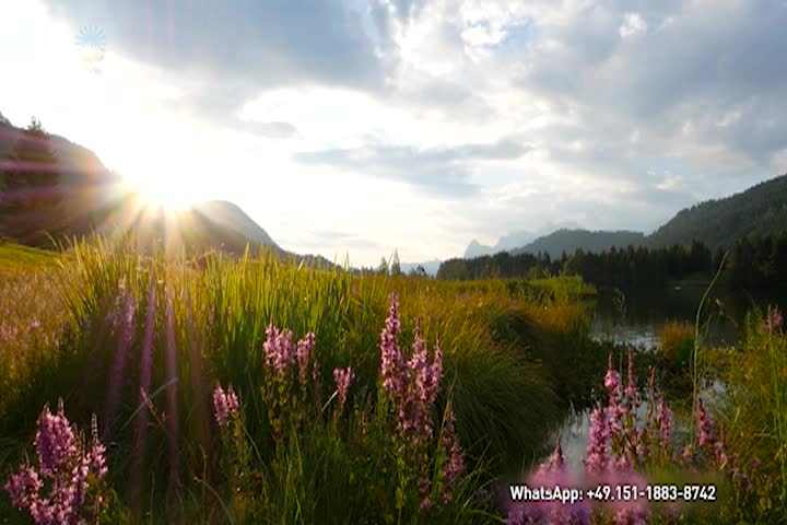 Thumbnail image for Christian Meditation