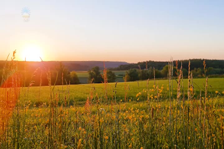 Thumbnail image for Christian Meditation