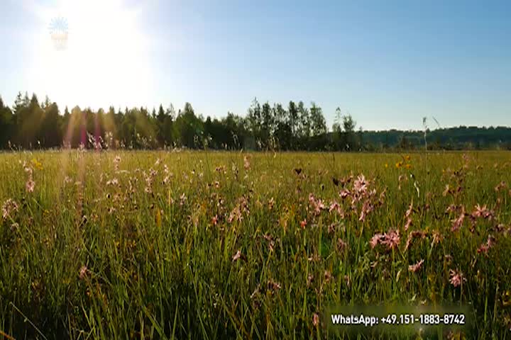 Thumbnail image for A Question of Ethics