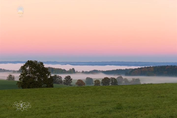 Thumbnail image for A Question of Ethics