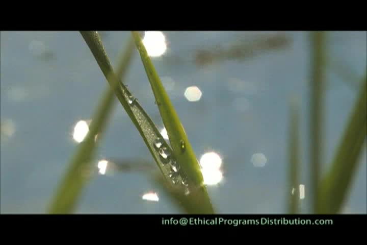 A Question of Ethics