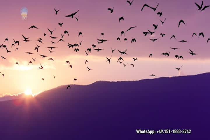 Thumbnail image for A Question of Ethics