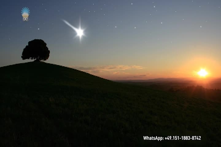 A Question of Ethics