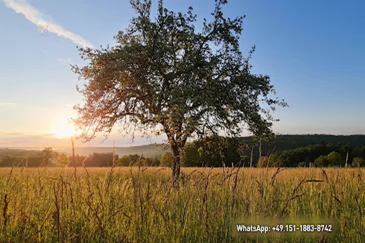 A Question of Ethics