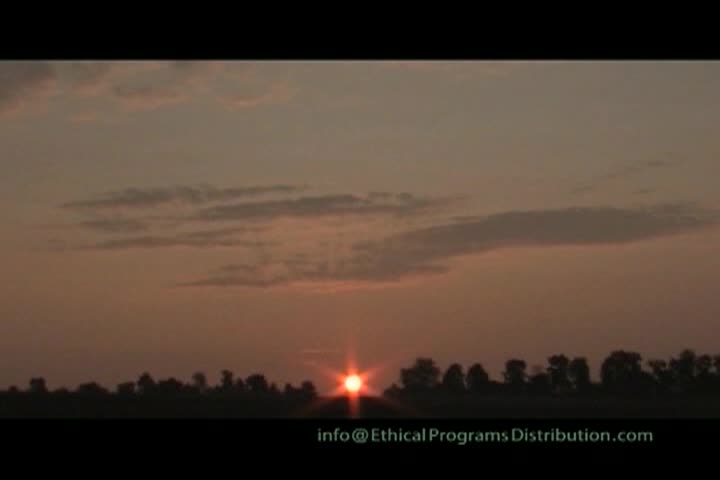 A Question of Ethics