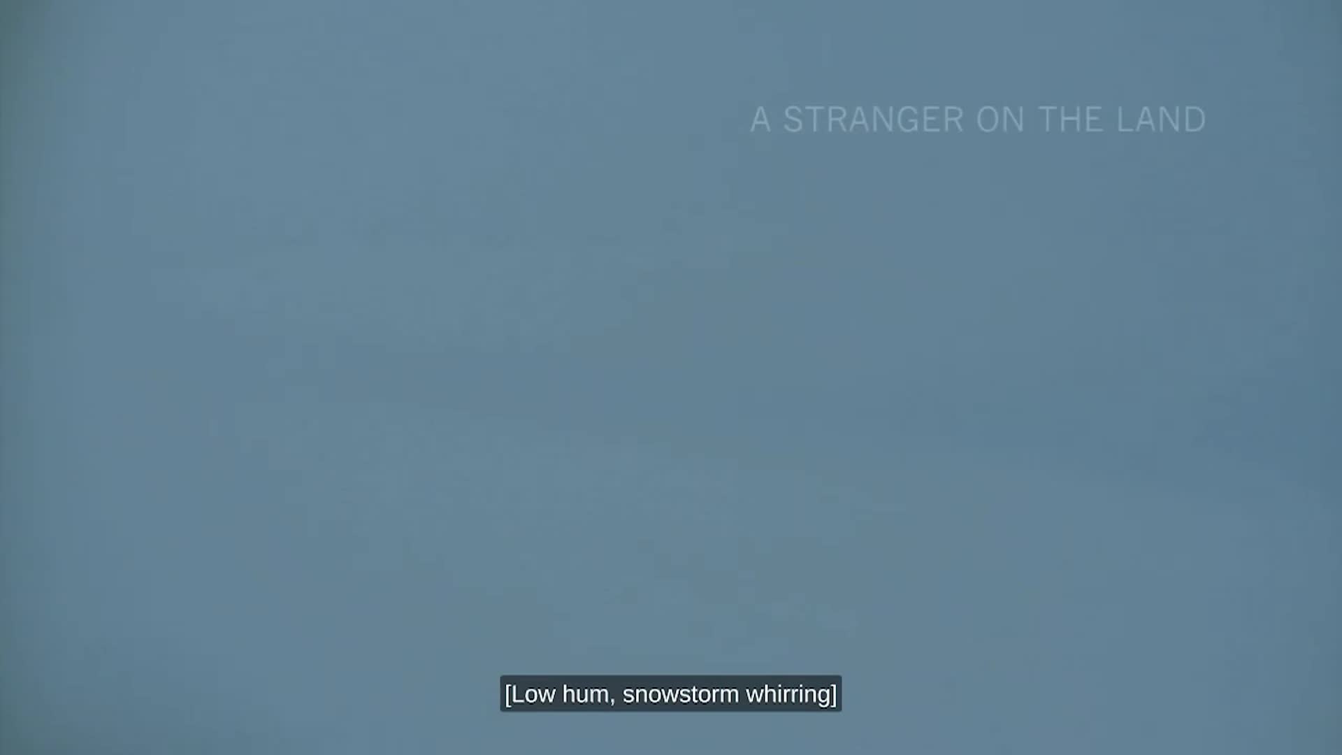 Strata: Portraits of Humanity