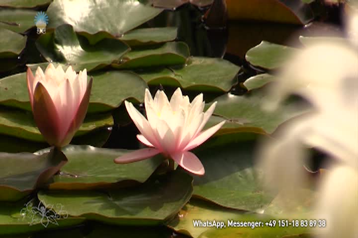 Thumbnail image for A Question of Ethics